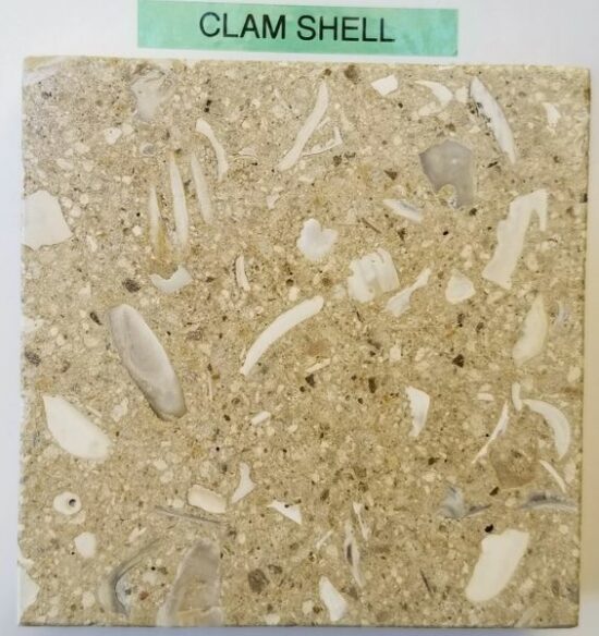 Atlantian ~ Clam Shell